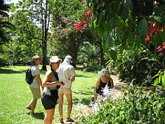 013 Jardin Botanique